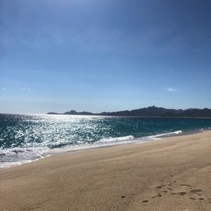 Meet your Posher, Robin